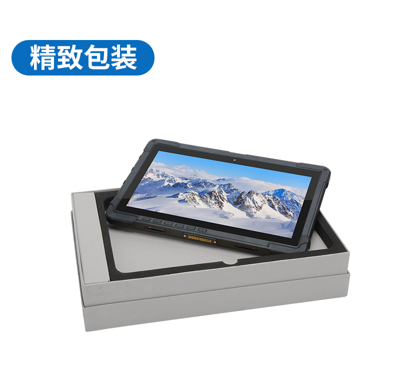 10英寸工业平板电脑,IP65防护三防加固平板,DTZ-I1108E.jpg